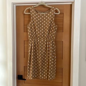 Jcrew dress size 6